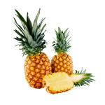Pineapple Concentrate - 50ML