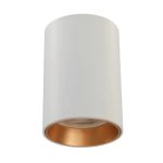 Polly Aluminium Downlight White Gold Silver - White & Silver Inner