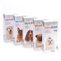 Bravecto Chewable Tick & Flea Tablet For Dogs - 2-4.5KG MINI Yellow