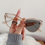 Fashion Retro Cat Eye Glasses Color Changing Glasses Minimalist Style With Bonus Exquisite Glasses Bag