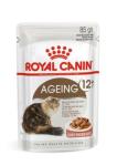ROYAL CANIN Ageing 12+ In Gravy Wet Cat Food - 12X85 Grams