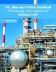 Oil Gas And Petrochemical: Processing Production And Management Hardcover