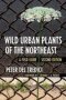 Wild Urban Plants Of The Northeast - A Field Guide   Paperback 2ND New Edition