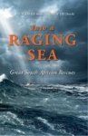Into A Raging Sea - Great South African Rescues Paperback
