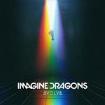 Evolve Vinyl Record