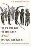 Witches Whores And Sorcerers - The Concept Of Evil In Early Iran paperback