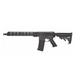 Taurus T4 5.56 30RD 2MG Rifle
