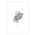 Plant With Colour Art Print - A4