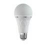 GIZZU Everglow Rechargeable Warm White Emergency LED Bulb - Screw-in