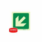 Parrot Photoluminescent 190MM E30 Safety Sign
