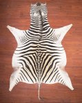 Aa Grade Zebra Hide 031 L