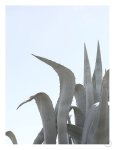 Charming Agave Art Print - A2