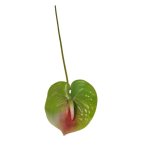 Anthurium Lily 62CM - Green