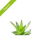 NAUTICA Aloe Vera Liquid Gel Cosmos Certified Organic - 1KG