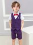 Boys' Polyester Striped Party Suit Set With Buttoned Waistcoat And Shorts - Sleeveless Woven Vest Outfit For Formal Occasions - Regular Fit Spring/Summer/Fall Ensemble