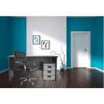 Low Back Executive Office Chair