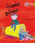Lost Sock - Level 11 Arabic English Paperback
