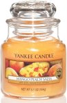 Candle Mango Peach Salsa Small Jar