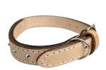 Leather Dog Collar Reinforced 24 30MM X 600MM