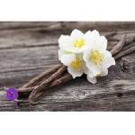Vanilla Ruyan Custard Concentrate - 10ML