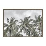 Frame Print Palms