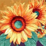 Adult Painting By Numbers - Sunflower