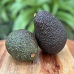 Avocado 2 Pack Heirloom Foods