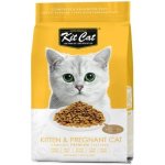 CAT Kit Kitten & Pregnant Dry Food - 1.2KG Waggs Online Pet Shop
