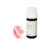 Escentia Geranium Pure Essential Oil - 20ML