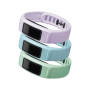 Garmin Vivofit 2 Bands Bundle - Mint/cloud/lilac Large