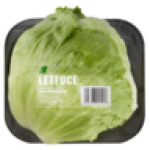 Iceberg Lettuce 1S
