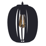 OV1 Pendant