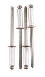 Fragram - Aluminium Rivets 100 Piece - 4.8X10MM
