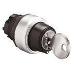 LPCS320 2POSITION Key Switch Head