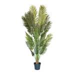 Palm Tree - 2.1M