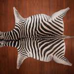 Bold-striped Zebra Hide Rug 290 X 202 Cm No. A-091