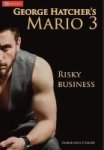Mario 3 Risky Business Hardcover