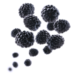 Dark Blackberrry Concentrate Mb - 10ML