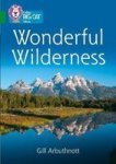 Wonderful Wilderness - Band 15 EMERALD Paperback