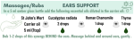 Massage Rub Recipe Synergy - Ears Support - Being Well Collection