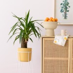 Yucca - Shorts - In Mustard Migo Planter With A White Orion Stand