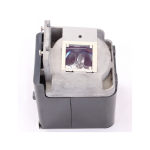 Parrot Replacement Data Projector Lamp