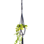 Macrame Plant Hanger Twisted Square Cotton - Black