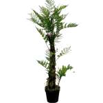 Fern Plant In Pot 1.2M
