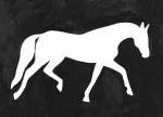 White Horse Art Print - A0
