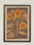 Sunflower Picture Framed – 71X50CM
