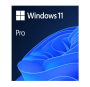 Windows 11 Professional