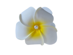 Tropical Soft Flower Claw Clip - Medium