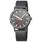 Classic Quartz Watch Grey Dial