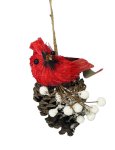 Bird On Pine Cone